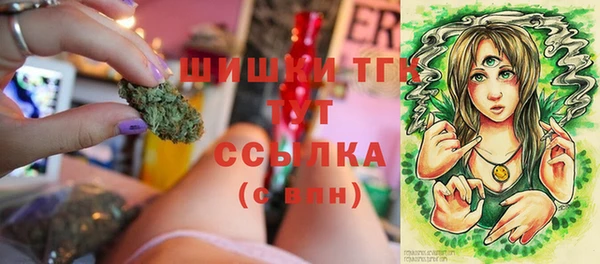 бошки Алексин