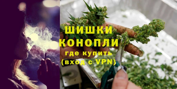 бошки Алексин