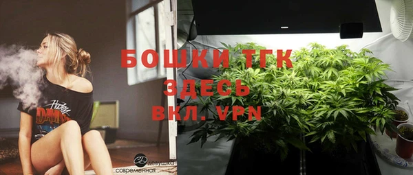 бошки Алексин
