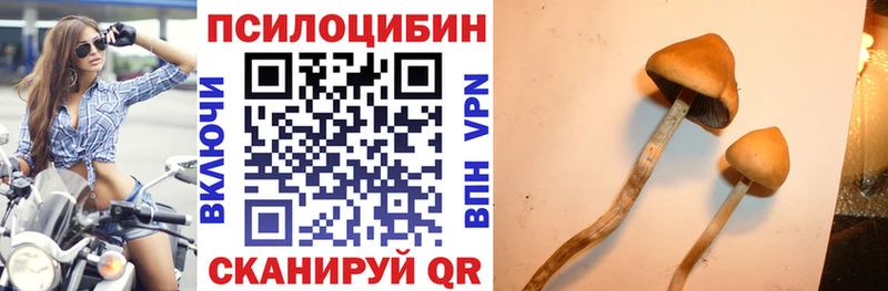 где продают наркотики  Сасово  Галлюциногенные грибы MAGIC MUSHROOMS 